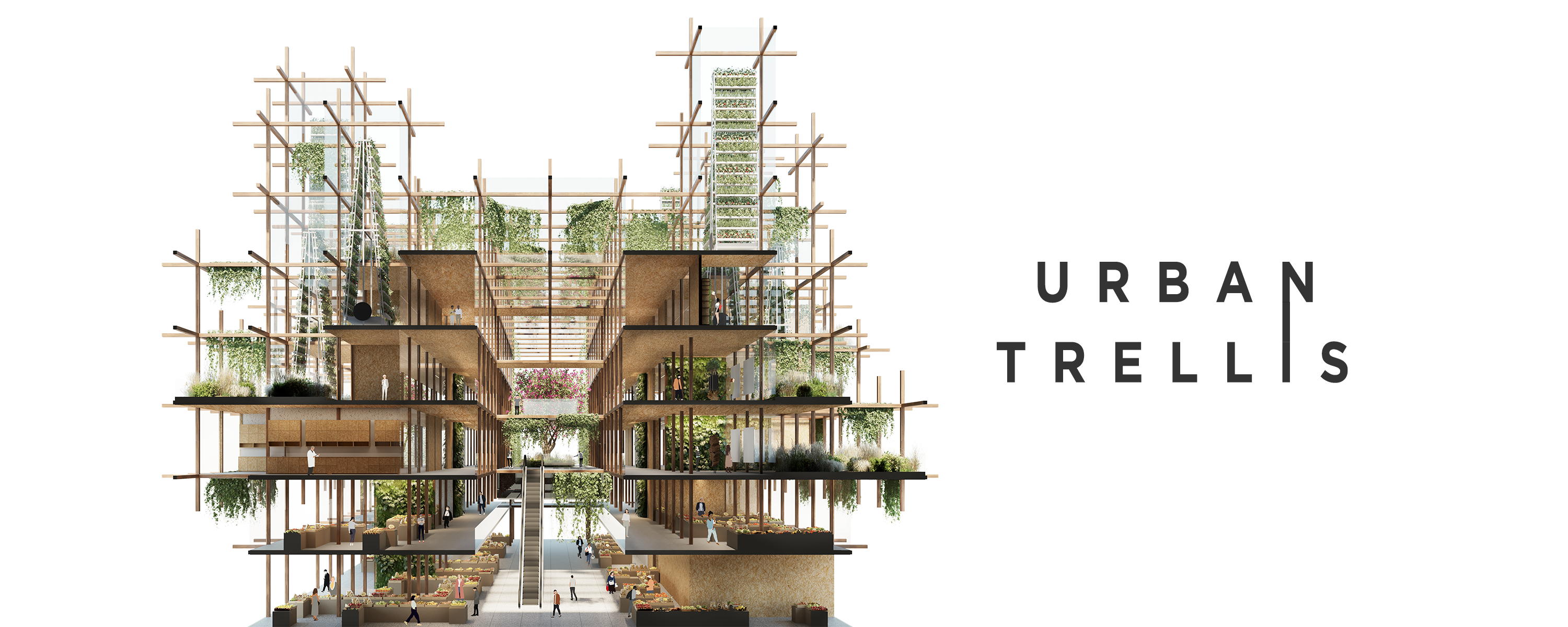 Urban Trellis