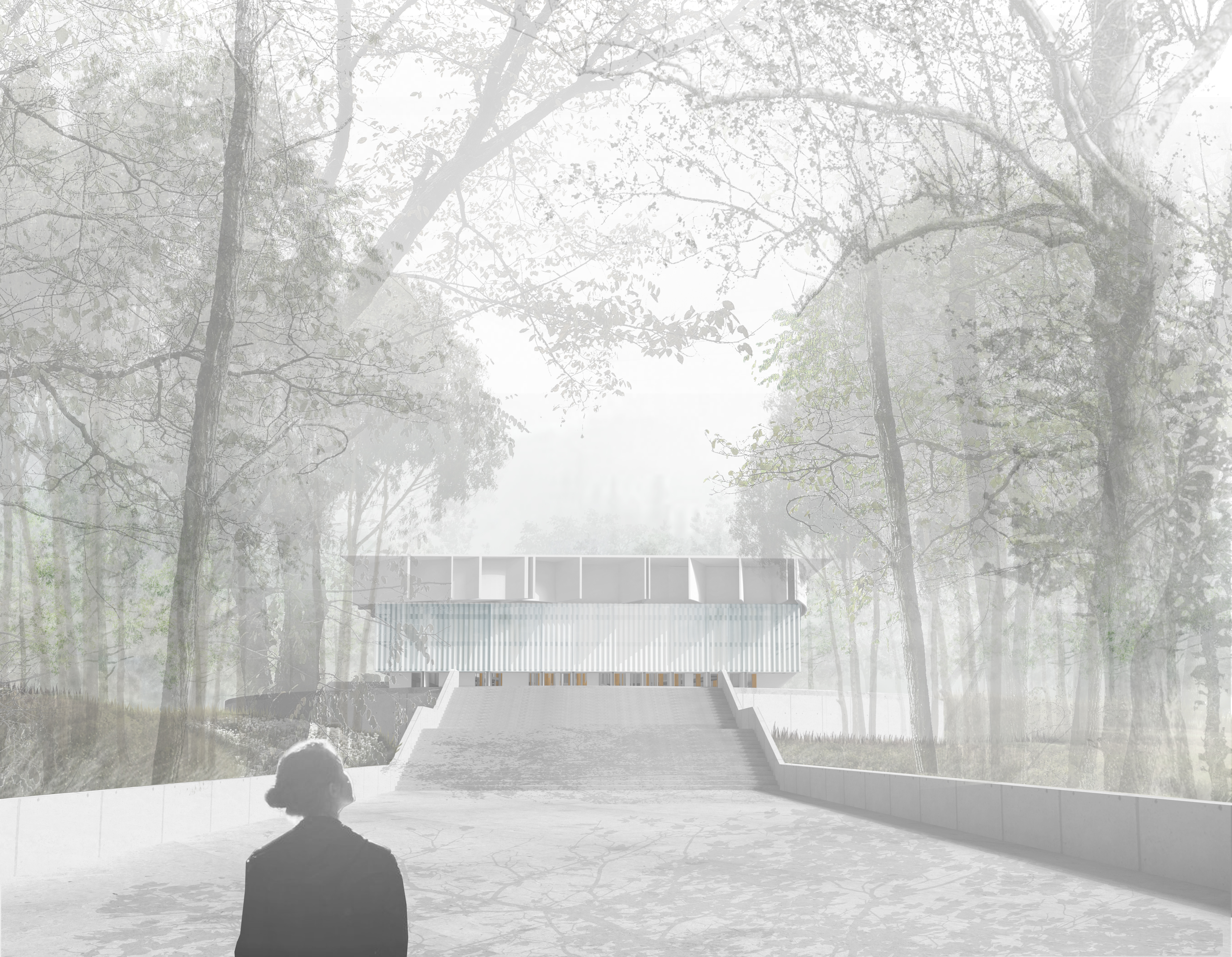 Museum of Woods
