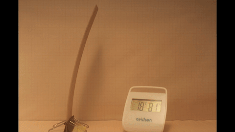 HIGROW – Hygroscopic proprieties of wood used as programmable matter in lightweight construction