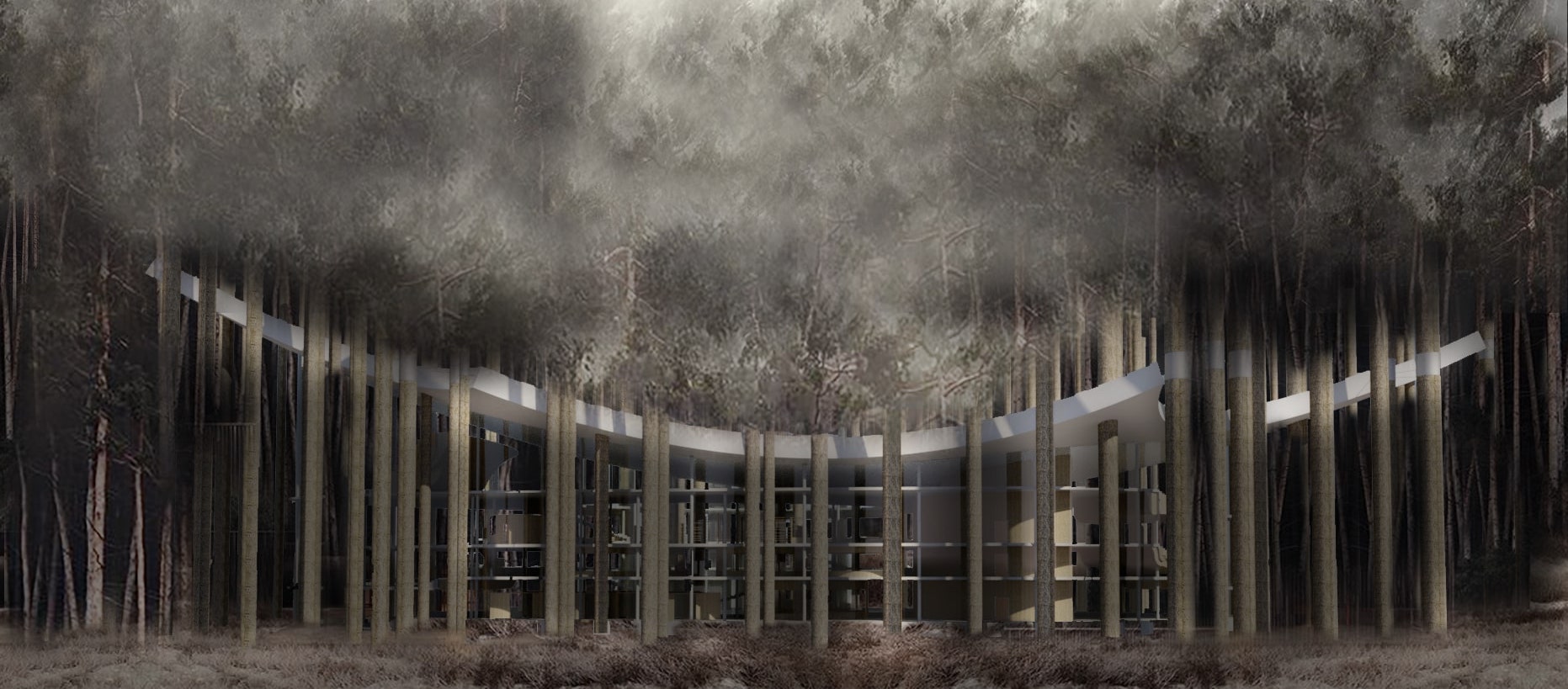 Forest Architecture