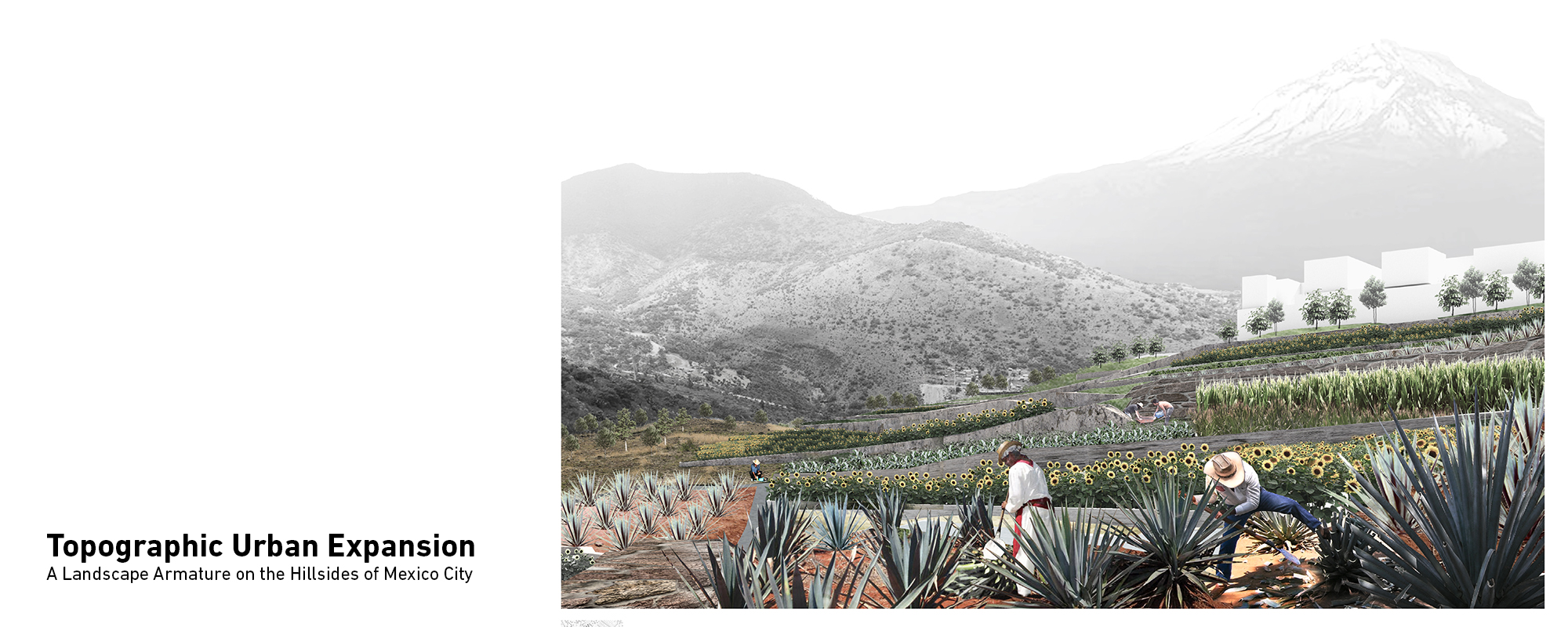 Topographic Urban Expansion-A Landscape Armature on the Hillsides of Mexico City